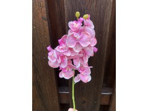 Umělá orchidej růžová 55 cm