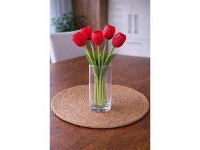 Červené latexové tulipány do vázy