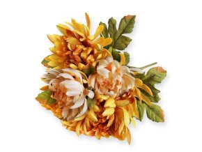 Chryzantéma
