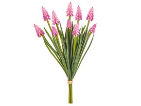 Umělý modřenec růžový