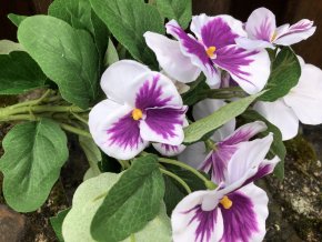 Umělé květiny macešky bílo fialové 30 cm 1