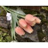 Umělé tulipány v broskvové barvě 6 ks
