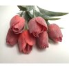 Tulipány