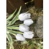 Umělé tulipány šedé 6 ks