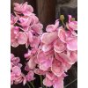Umělá orchidej růžová