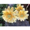 Umělá chryzantéma žlutá 65 cm