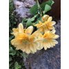 Umělá chryzantéma žlutá 65 cm