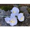 Umělá květina zimní orchidej bílá