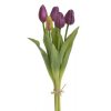 Tulipány