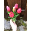 Latexové tulipány růžové