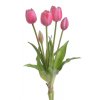 Tulipány