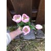Růžové latexové tulipány 40cm