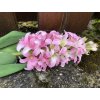 Umělý hyacint světle růžový