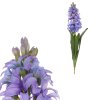Umělý hyacint fialový