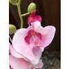 Růžovo fialová umělá orchidej