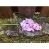 Umělá orchidej růžovo fialová 55 cm