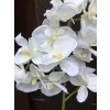 Umělá orchidej bílá 55 cm