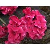 Umělé květiny muškát růžový 45 cm