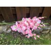 Umělá gladiola mečík růžovo bílý 76 cm