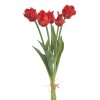 tulipány