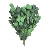 Stabilizovaný eukalyptus populus zelený, 150 g