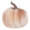 Dýně