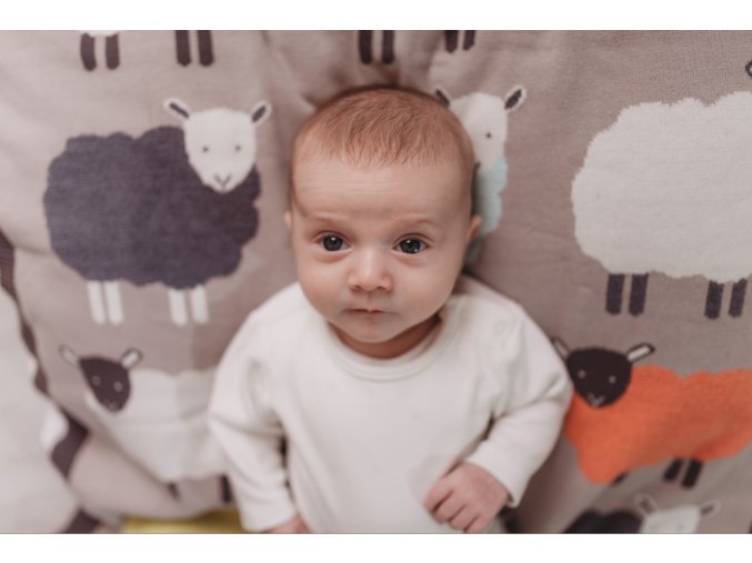 2622 2 deka flock 3