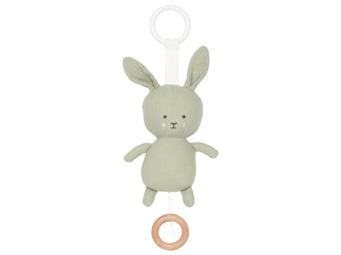 687 a5bb7ce12f k121 musical green bunny full