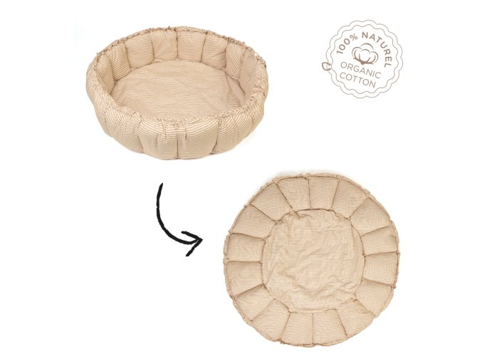 Bloom Stripes brown transforming with logo 2