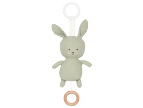 687 a5bb7ce12f k121 musical green bunny full