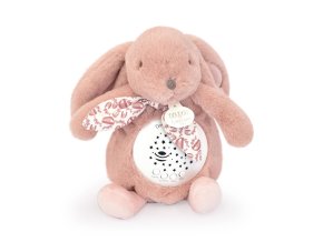 dc4200 65fc55a3e90dd812014441