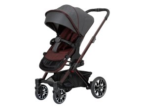 20026 4 2410 256 614 mercedes benz avangarde gtx ansicht schrag