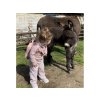 CWKIDBPC 11