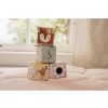 Kocky textilné 4 ks Fairy Garden