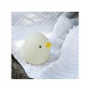 Svetlo do vane SWIMMY DUCK