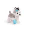 Husky v kabelke s veterinárskou sadou