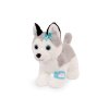 Husky v kabelke s veterinárskou sadou