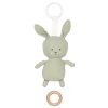 687 a5bb7ce12f k121 musical green bunny full