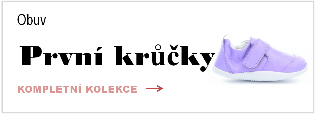 první krůčky