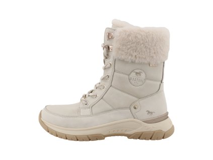 15M0133001ice image01