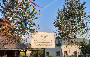 Nová kategorie SVATBA