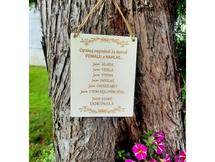 cedulka kamaradce k narozeninam
