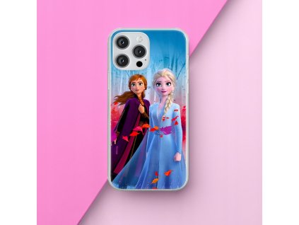 DC Comics Back Case Frozen 008 iPhone 13 Pro