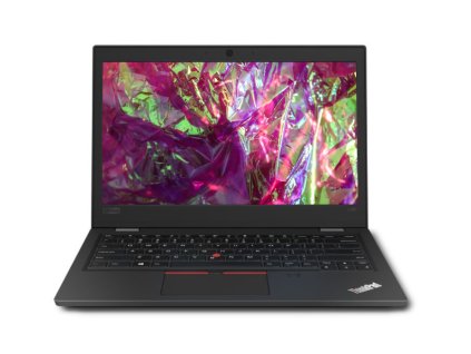 Lenovo ThinkPad X395