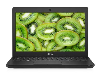 Dell Latitude 5290