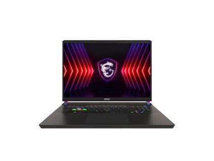 MSI Vector 17 HX A14VI (1)