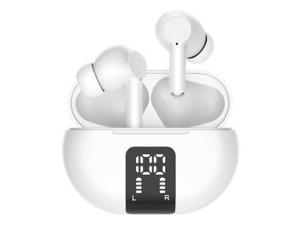 123221 screenshot 1 jpg