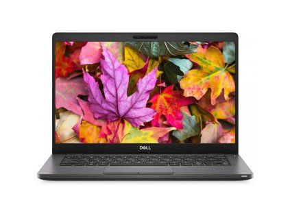 123272 dell latitude 5300 jpg