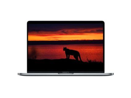 123620 apple macbook pro 13 2017 silver jpg