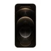 75422 1 apple iphone 12 pro max gold 1 jpg